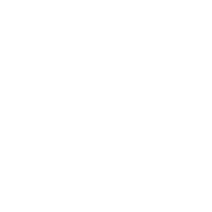 secure ecosystem icon