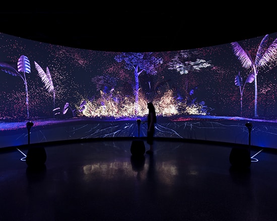 large interactive video wall in Museum of the Future Dubai